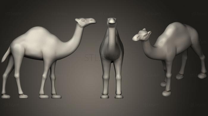 3D model Camel (STL)